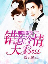 一醉成婚封面