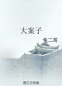 大案子封面