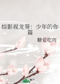 综影视龙葵：少年的你篇封面