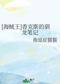 [海贼王]香克斯的驯龙笔记封面