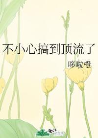 不小心搞到顶流了封面