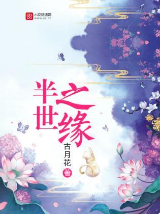 半世之缘封面