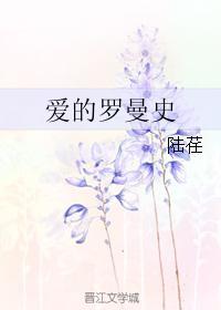 爱的罗曼史封面