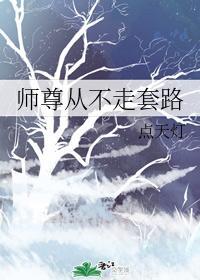 师尊从不走套路封面