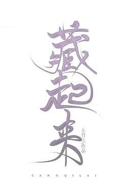 藏起来封面