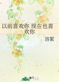 以前喜欢你 现在也喜欢你封面