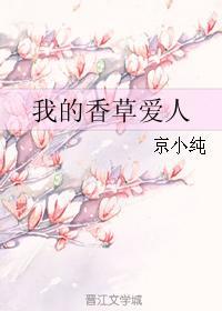 我的香草爱人封面