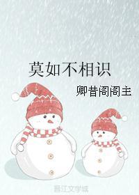 莫如不相识 兰哀师生封面