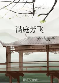 满庭芳飞封面