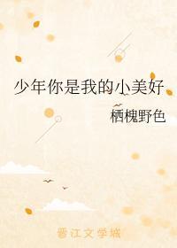 少年你是我的小美好封面