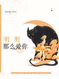 明明那么爱你封面