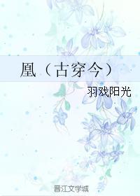 凰（古穿今）封面