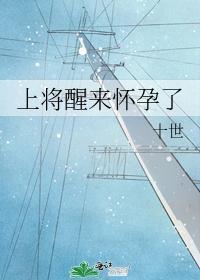 上将醒来怀孕了封面