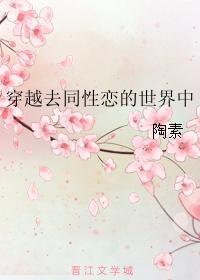 穿越去同性恋的世界中封面