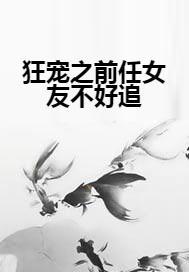 狂宠之前任女友不好追封面
