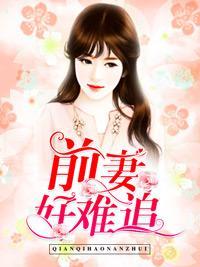 前妻好难追封面