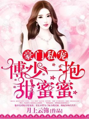 私房宠爱，老婆高高在上封面