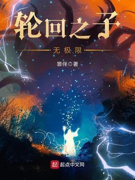 轮回之子无极限封面