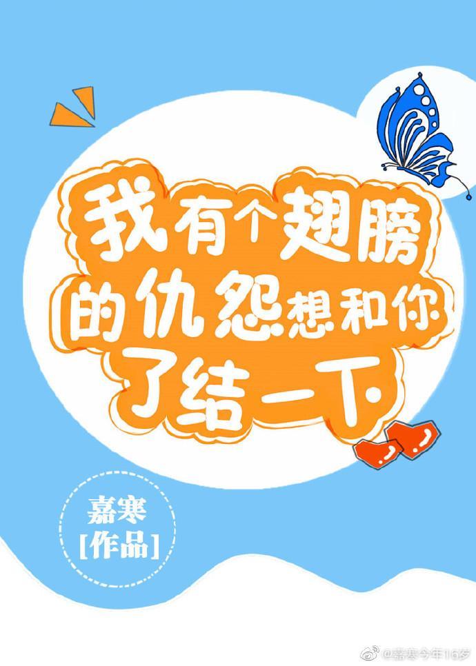 气,我翅膀破了!封面