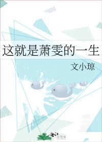 这就是萧雯的一生封面