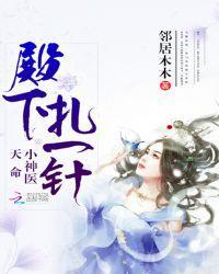 天命小神医：殿下，扎一针封面