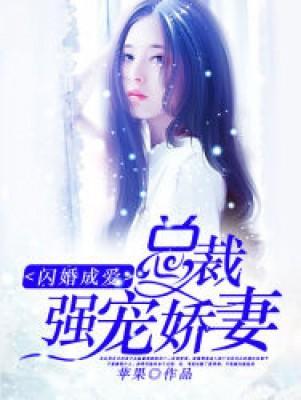 总裁强宠娇妻封面