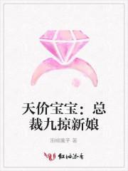 天价宝宝：总裁九掠新娘封面