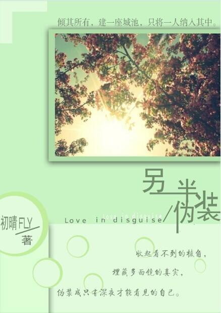 另一半伪装封面