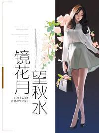 镜花月望秋水封面