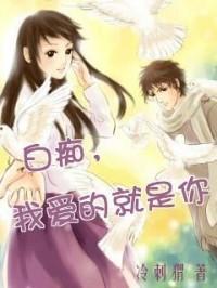白痴，我爱的就是你啊封面