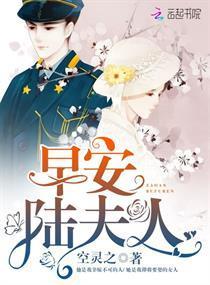 早安,陆夫人封面