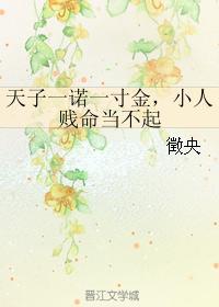 天子一诺一寸金，小人贱命当不起封面
