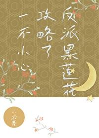 一不小心攻略了反派黑莲花封面