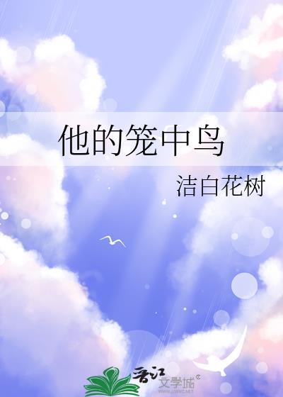 他的笼中鸟封面