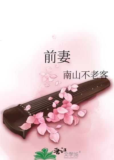 前妻封面