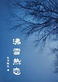 沸雪热恋封面
