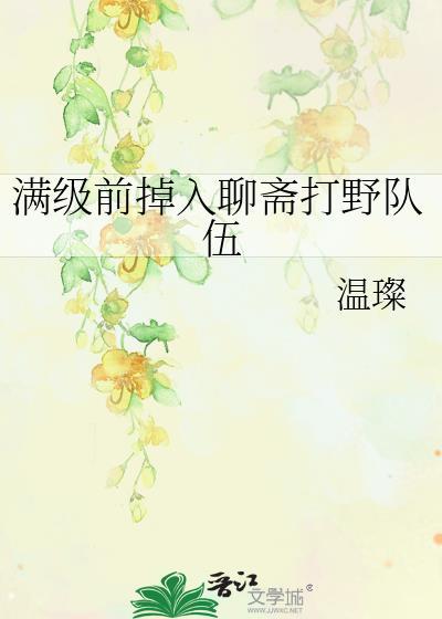 满级前掉入聊斋打野队伍封面