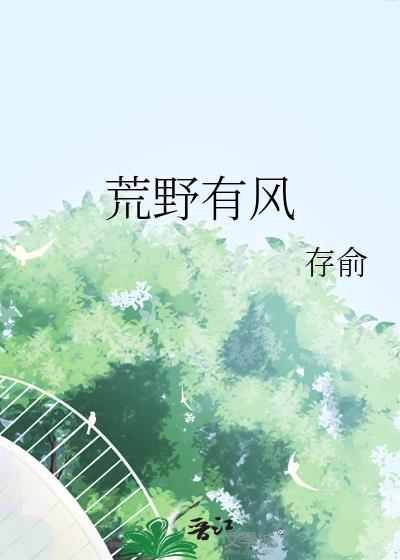 荒野有风封面