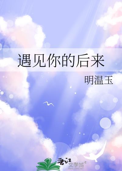 遇见你的后来封面