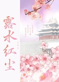 露水红尘封面