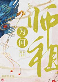 师祖为何还不飞升封面