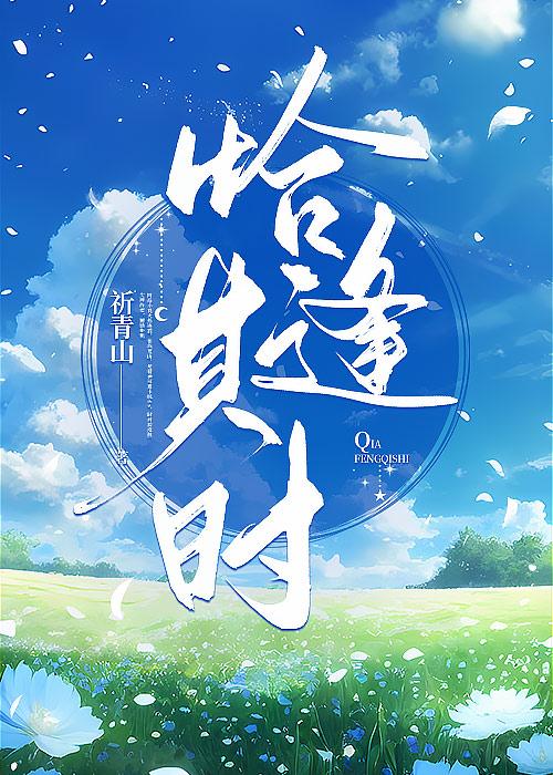 恰逢其时封面