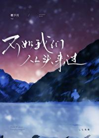 不如我们从头来过封面