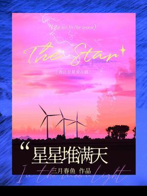 星星堆满天封面