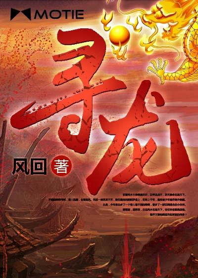 寻龙封面