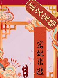 宠妃出逃封面