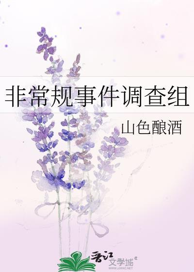 非常规事件调查组封面