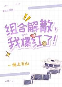 组合解散,我爆红了!封面