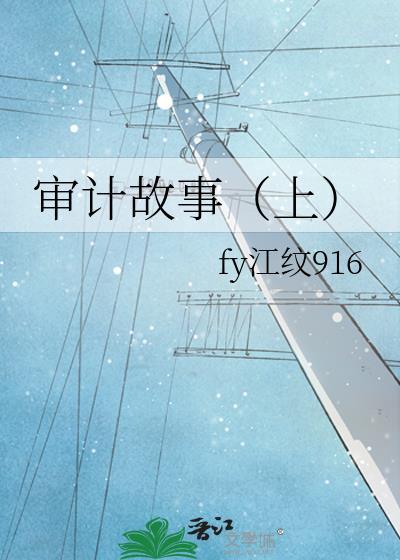 审计故事(上)封面