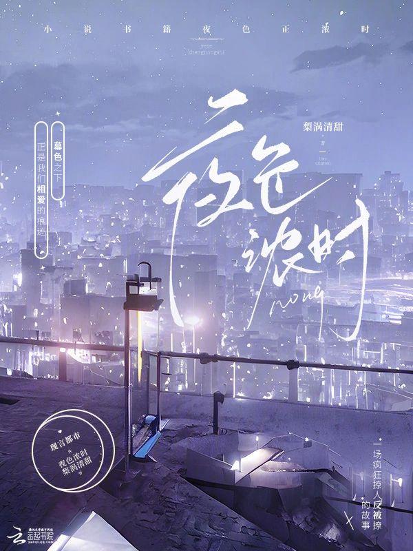 夜色浓时封面